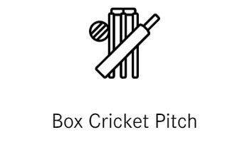 Box Cricket Pitch
